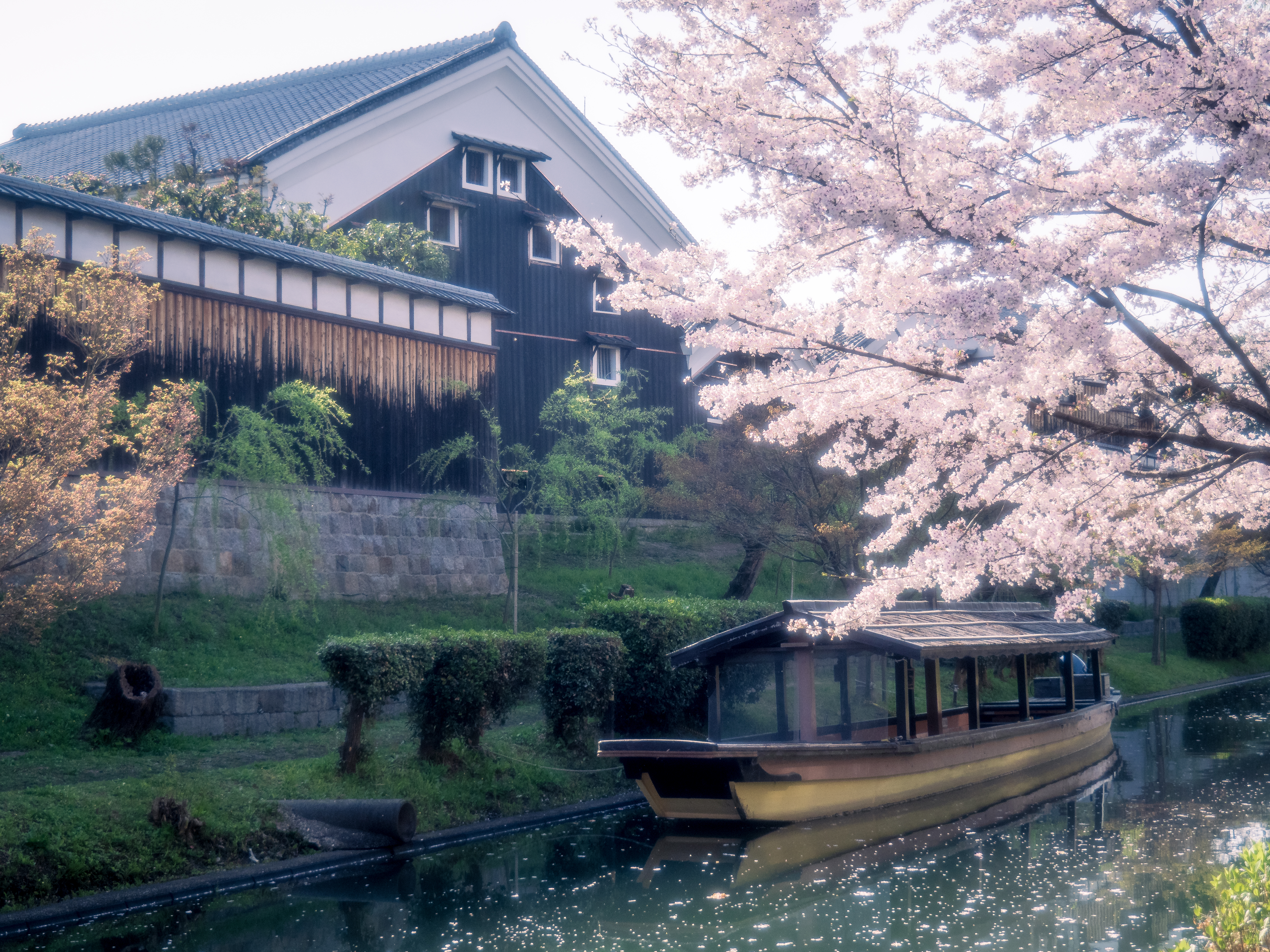 日本酒のテロワールとは？京都の酒から見えてくる、土地と味わいの関係